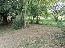 ขายที่ดิน  4 ไร่  ใกล้ ที่ว่าการอำเภอแม่ออน  จ.เชียงใหม่ 
