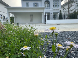 ให้เช่า บ้านเดี่ยว M521 วิลลาจจิโอ ศรีนครินทร์-บางนา 227 ตรม 75 ตรว