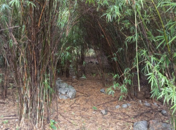 รถมือสอง อสังหาริมทรัพย์ ที่ดิน ปี 0 