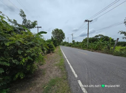 ขายที่สวยติดถนนลาดยาง ต.บ้านพริก อ.บ้านนา จ.นครนายก 31 ไร่ 1 งาน 28 ตรว. การเดินทางสะดวกสบายถนนดีตลอดเส้นทาง