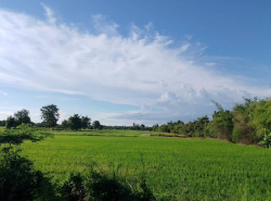 ที่ดินเปล่า วิวสวย 40 - 1 - 65.4 ไร่   ติดถนน  ต.เมืองเก่า อ.เมือง  จ.สุโขทัย   ZN657 
