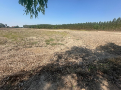 รถมือสอง อสังหาริมทรัพย์ ที่ดิน ปี 0 