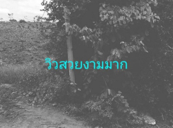 รถมือสอง อสังหาริมทรัพย์ ที่ดิน ปี 0 