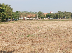 รถมือสอง อสังหาริมทรัพย์ ที่ดิน ปี 0 