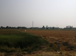รถมือสอง อสังหาริมทรัพย์ ที่ดิน ปี 0 
