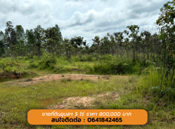 รถมือสอง อสังหาริมทรัพย์ ที่ดิน ปี 0 