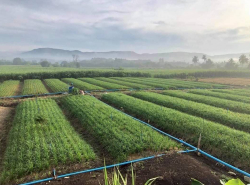 รถมือสอง อสังหาริมทรัพย์ ที่ดิน ปี 0 