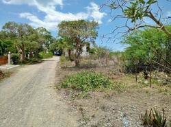 ขาย ที่ดิน ต.ปึกเตียน อ.ท่ายาง จ.เพชรบุรี     PAPC2_0009 C008