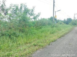 รถมือสอง อสังหาริมทรัพย์ ที่ดิน ปี 0 