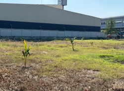 รถมือสอง อสังหาริมทรัพย์ ที่ดิน ปี 0 
