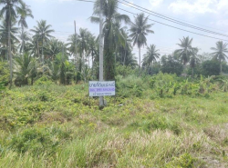 รถมือสอง อสังหาริมทรัพย์ ที่ดิน ปี 0 