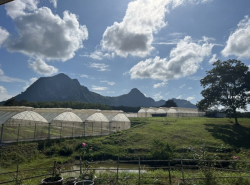 รถมือสอง อสังหาริมทรัพย์ ที่ดิน ปี 0 