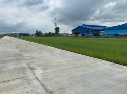 ขายที่ดิน 5 – 10 ไร่ หน้ากว้าง   ติดถนนคอนกรีต เขต EEC อ.เมือง ฉะเชิงเทรา  ผังสีม่วงจุดสีขาว 