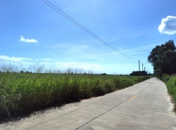 รถมือสอง อสังหาริมทรัพย์ ที่ดิน ปี 0 