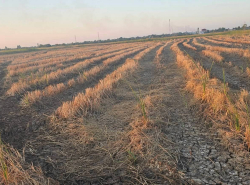รถมือสอง อสังหาริมทรัพย์ ที่ดิน ปี 0 