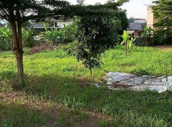 รถมือสอง อสังหาริมทรัพย์ ที่ดิน ปี 0 