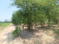 รถมือสอง อสังหาริมทรัพย์ ที่ดิน ปี 0 