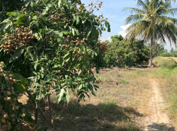 รถมือสอง อสังหาริมทรัพย์ ที่ดิน ปี 0 