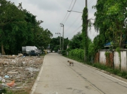 ที่ดิน 3ไร่กว่า ซ.บางขนุน3/1ห่างถ.ราชพฤกษ์ 1.6 กม. จ.นนทบุรี