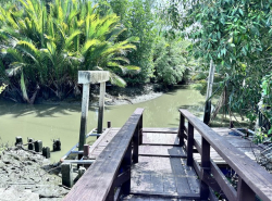 รถมือสอง อสังหาริมทรัพย์ ที่ดิน ปี 0 