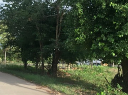 รถมือสอง อสังหาริมทรัพย์ ที่ดิน ปี 0 