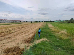 รถมือสอง อสังหาริมทรัพย์ ที่ดิน ปี 0 