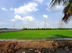 รถมือสอง อสังหาริมทรัพย์ ที่ดิน ปี 0 