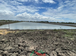 รถมือสอง อสังหาริมทรัพย์ ที่ดิน ปี 0 