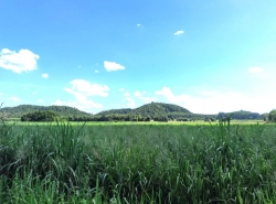 รถมือสอง อสังหาริมทรัพย์ ที่ดิน ปี 0 
