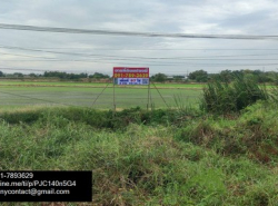 ขายที่ดินเปล่าผืนใหญ่ สวย ทำเลดี ติดถนนสายหลักปทุมธานี-นนทบุรี