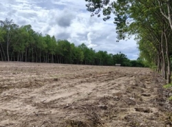 รถมือสอง อสังหาริมทรัพย์ ที่ดิน ปี 0 