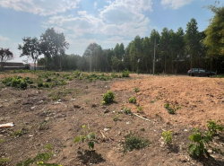 รถมือสอง อสังหาริมทรัพย์ ที่ดิน ปี 0 