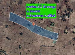 อสังหาริมทรัพย์ - ที่ดิน