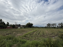 รถมือสอง อสังหาริมทรัพย์ ที่ดิน ปี 0 