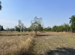 รถมือสอง อสังหาริมทรัพย์ ที่ดิน ปี 0 