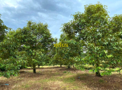 รถมือสอง อสังหาริมทรัพย์ ที่ดิน ปี 0 