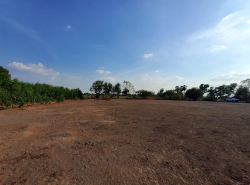รถมือสอง อสังหาริมทรัพย์ ที่ดิน ปี 0 