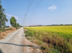 รถมือสอง อสังหาริมทรัพย์ ที่ดิน ปี 0 