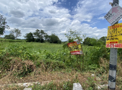 รถมือสอง อสังหาริมทรัพย์ ที่ดิน ปี 0 