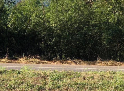รถมือสอง อสังหาริมทรัพย์ ที่ดิน ปี 0 