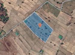 รถมือสอง อสังหาริมทรัพย์ ที่ดิน ปี 0 