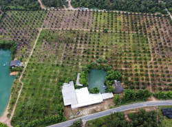 รถมือสอง อสังหาริมทรัพย์ ที่ดิน ปี 0 