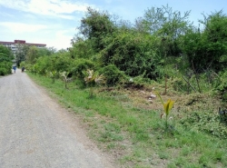 ขาย ที่ดิน ต.ปึกเตียน อ.ท่ายาง จ.เพชรบุรี  PAPC2_0009 C015