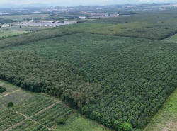 รถมือสอง อสังหาริมทรัพย์ ที่ดิน ปี 0 