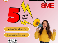 สินเชื่อธุรกิจ วงเงิน od 0924965940