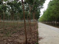 รถมือสอง อสังหาริมทรัพย์ ที่ดิน ปี 0 