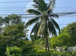 รถมือสอง อสังหาริมทรัพย์ ที่ดิน ปี 0 