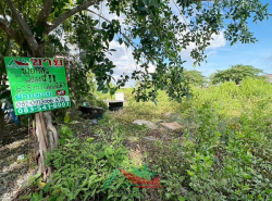 รถมือสอง อสังหาริมทรัพย์ ที่ดิน ปี 0 