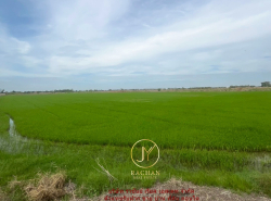 รถมือสอง อสังหาริมทรัพย์ ที่ดิน ปี 0 