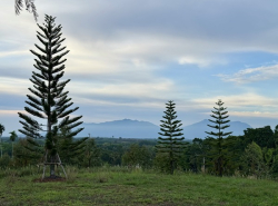 รถมือสอง อสังหาริมทรัพย์ ที่ดิน ปี 0 